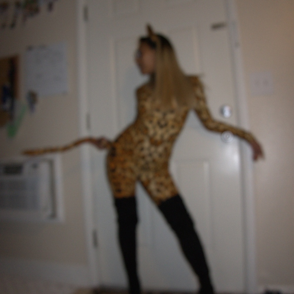 Cheetah Costume